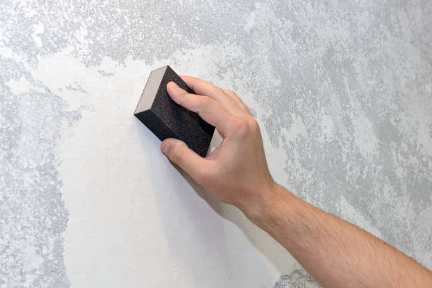 Best Basement Mold Removal  in Pretty Bayou, FL