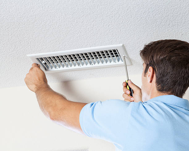 Trusted Pretty Bayou, FL Mold Removal Experts
